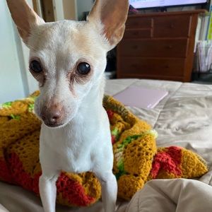 Meet your Posher, Margaret